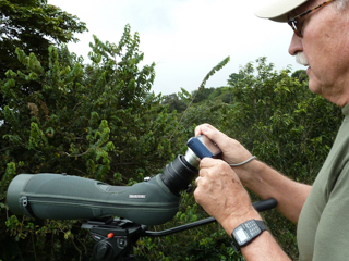 First camera used for digiscoping