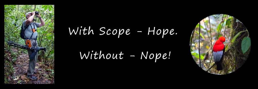 Bumper Sticker Hope with Scope